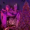 6 Pack 59ft Orange & Purple Halloween Lights Decorations,80 LED Halloween String Lights (Orange Purple)